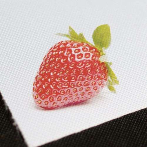 Canvay Rolle 75cmx10m